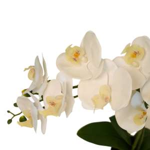 Artificial White Orchid in a Pot
