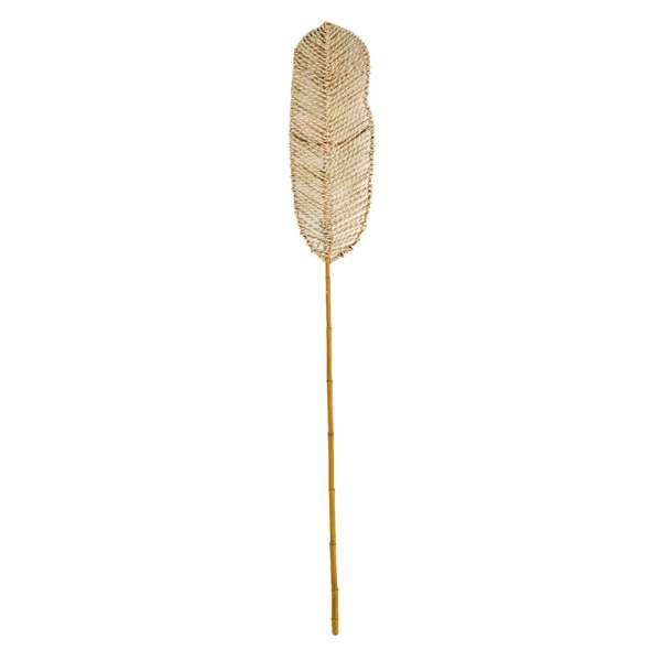Decorative Seagrass Stem Light 2m