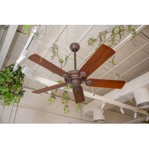 Outdoor Elements II Ceiling Fan