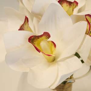 Artificial Orchids Bouquet in Glass Vase