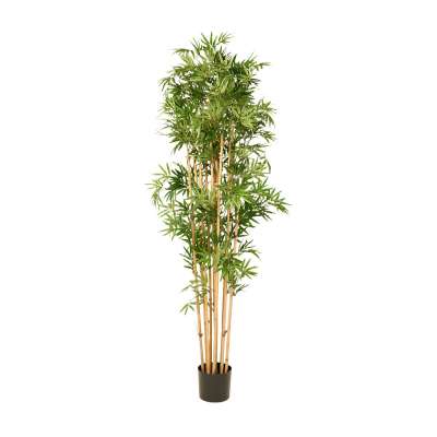 Artificial Japanese Bamboo Tree With Real Trunk