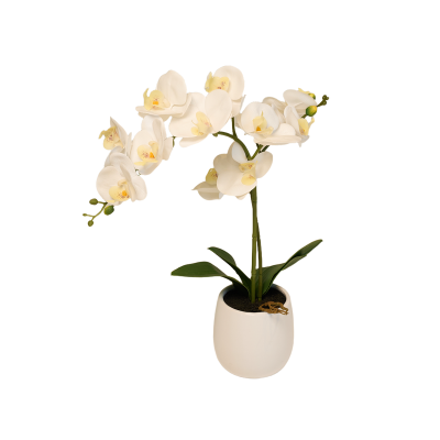 Artificial White Orchid in a Pot