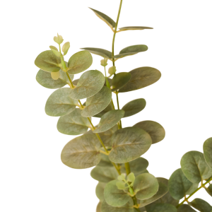 Artificial Eucalyptus Tree