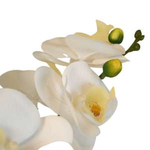 Artificial White Orchid in a Pot