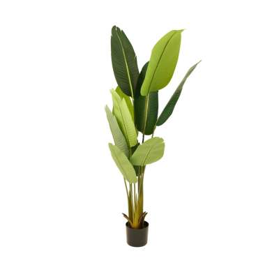 Artificial Traveler's Banana Tree