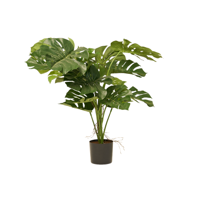 Artificial Philo Bush