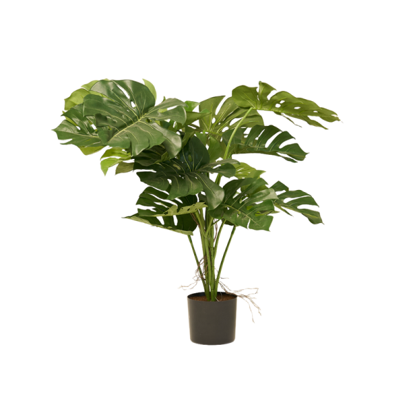 Artificial Philo Bush