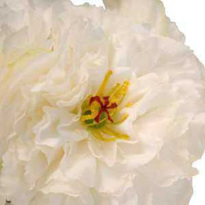 Artificial Peony Bouquet in Glass Vase