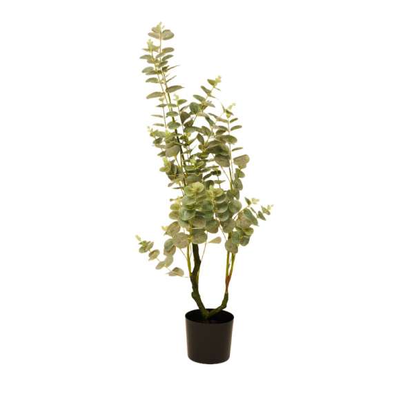 Artificial Eucalyptus Tree