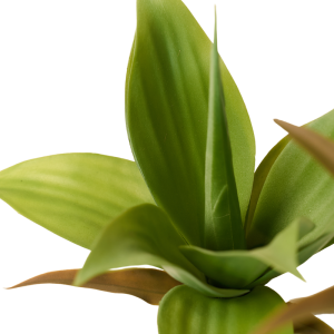 Artificial Crown Orchid in a Pot