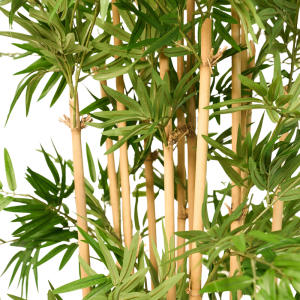 Artificial Japanese Bamboo Tree With Real Trunk