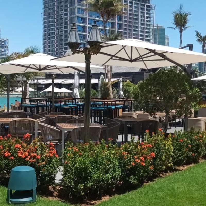 Beach Rotana - Abu Dhabi